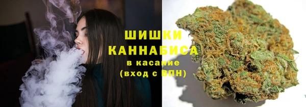 трава Кущёвская