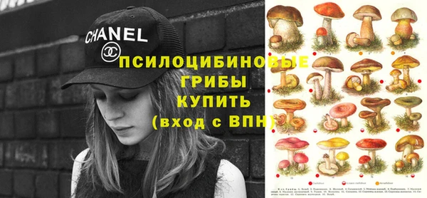 трава Кущёвская