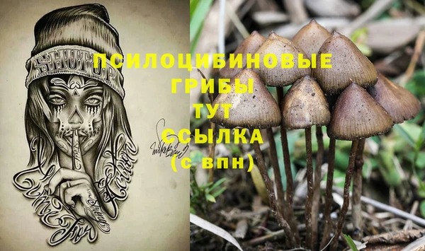 мяу мяу мука Нязепетровск