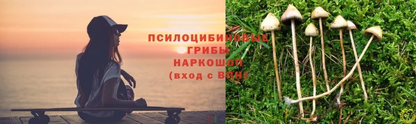 синтетический гашиш Осинники