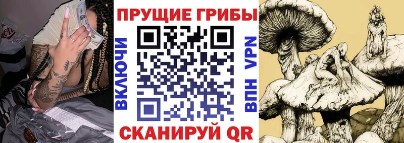Галлюциногенные грибы прущие грибы  купить наркотик  Ардатов 