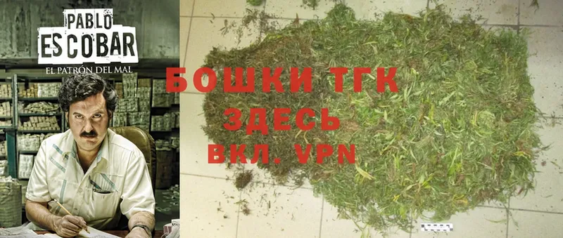 Бошки Шишки SATIVA & INDICA  цена наркотик  MEGA ТОР  Ардатов 